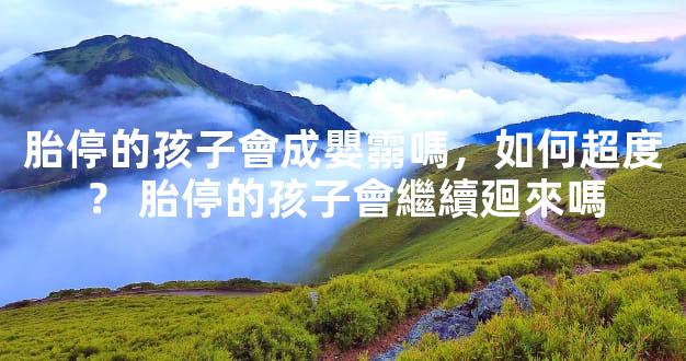 胎停的孩子會成嬰霛嗎，如何超度？ 胎停的孩子會繼續廻來嗎